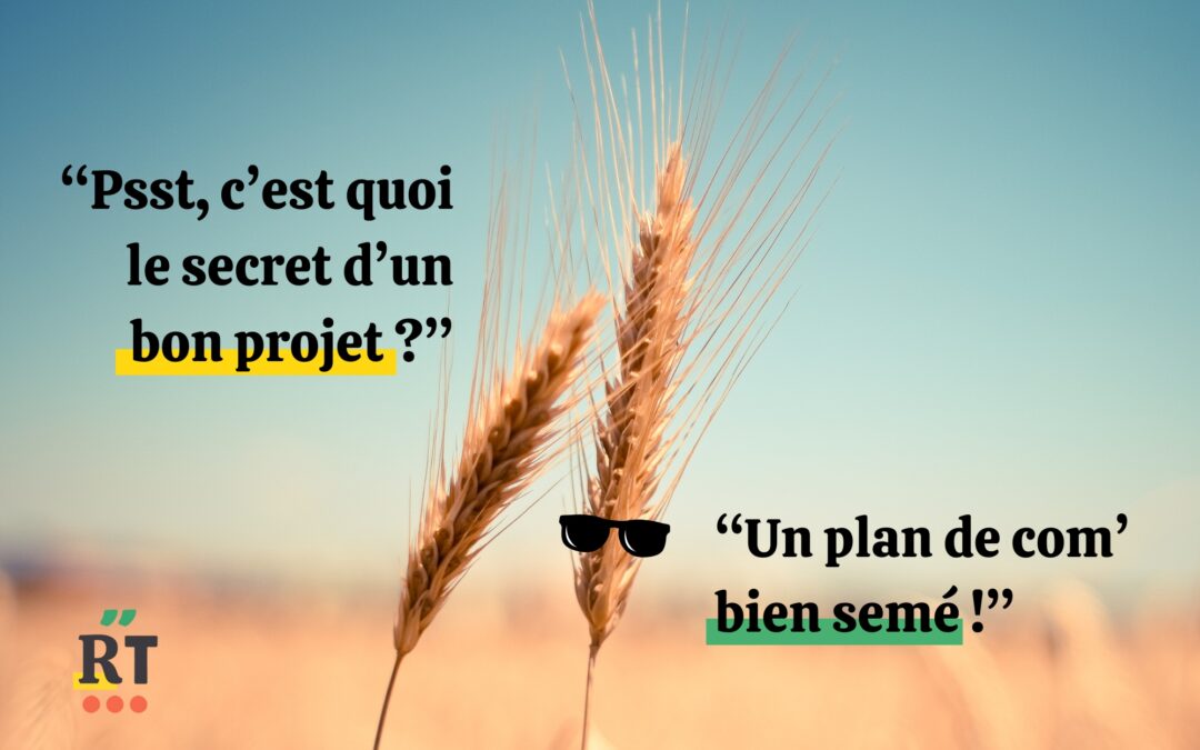 Comment faire un Plan de Communication efficace en Agriculture ?