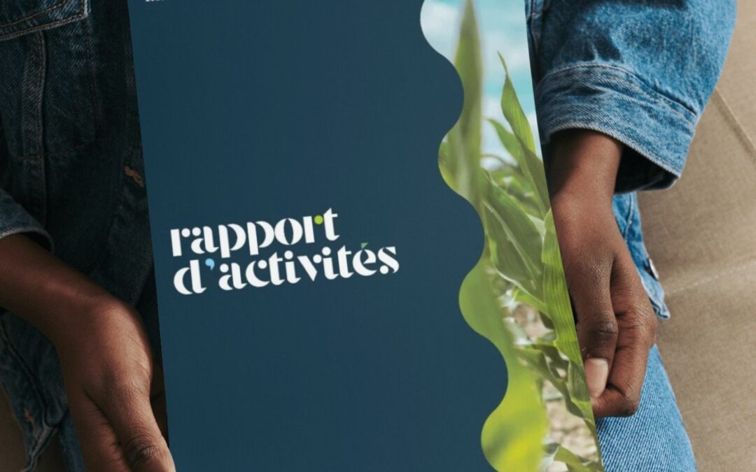 Rapport d’activités